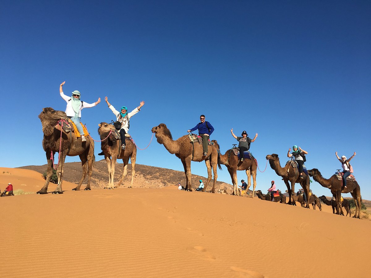 Tours à Agadir